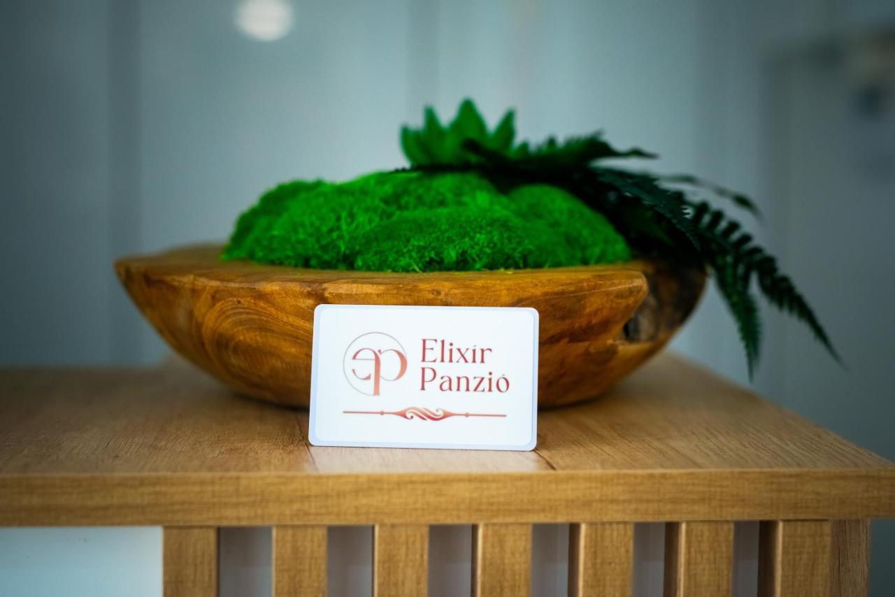 مبيت وإفطار Nyírbátor Elixir Panzio المظهر الخارجي الصورة